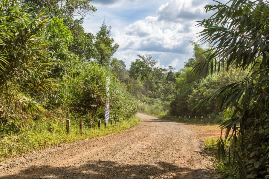 path leading to tad yuang waterfall laos