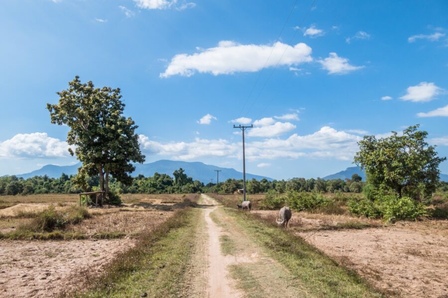chemin traversant ile de don daeng champassak