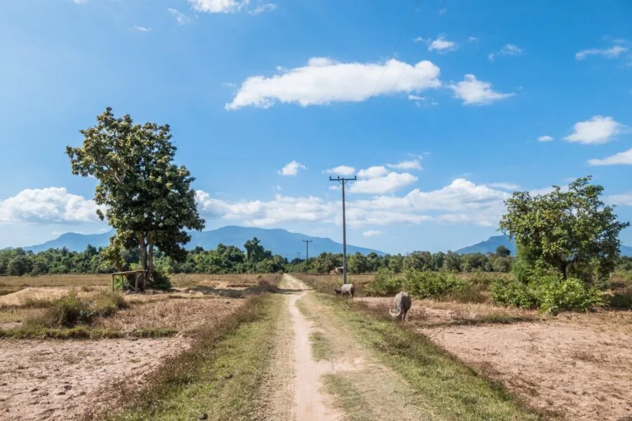 path crossing Don Daeng Island Champassak