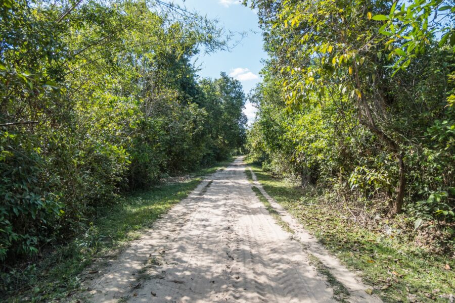 chemin vers vat pa phonsamek ile de don daeng champassak