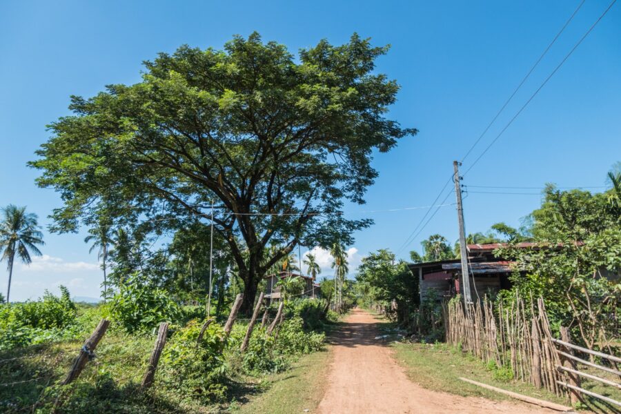 chemin vers le wat tomo champassak laos