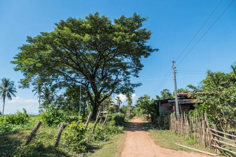 path to wat tomo champassak laos
