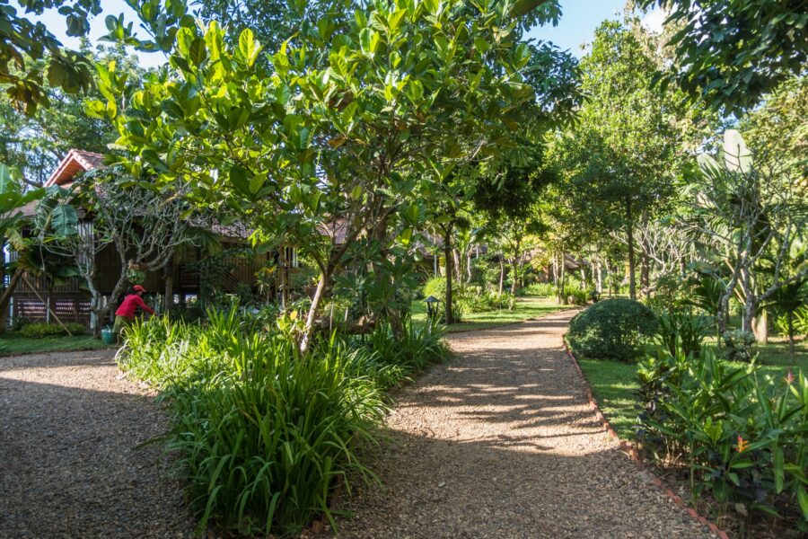 jardin de la folie lodge don daeng champassak laos