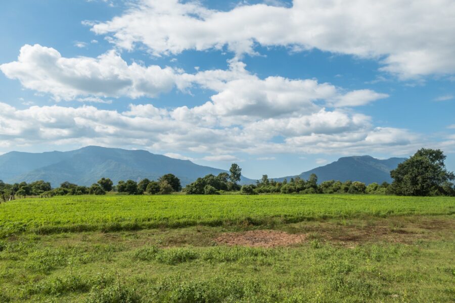 paysage sur ile de don daeng champassak laos