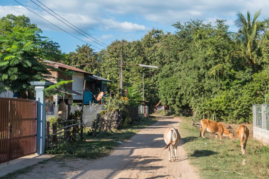 village au nord ile de don daeng champassak laos