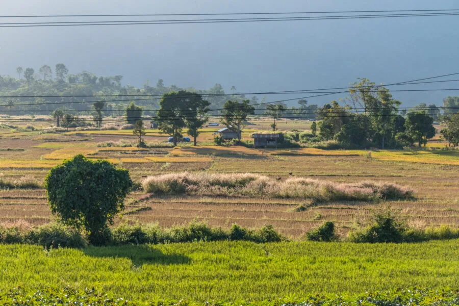 countryside near the village of Kok Phoung Tai, Laos