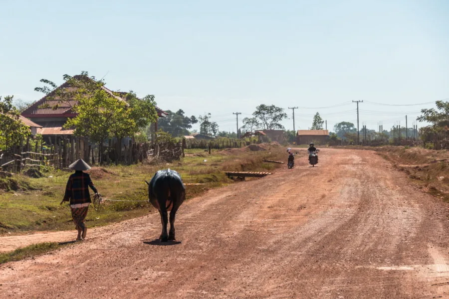woman with her buffalo between Attapeu and Sanamxai, southern Laos
