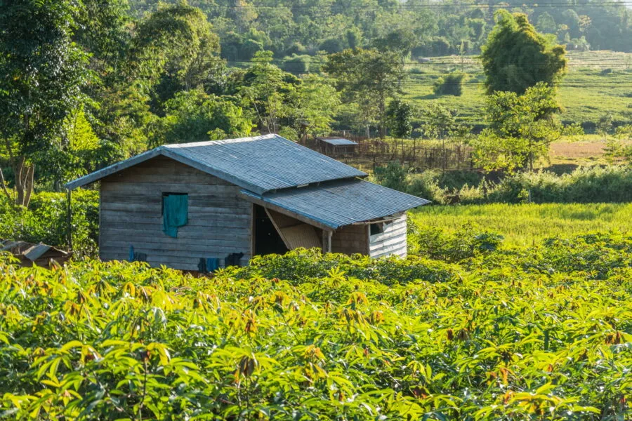 house in the countryside near the village of Kok Phoung Tai, Laos