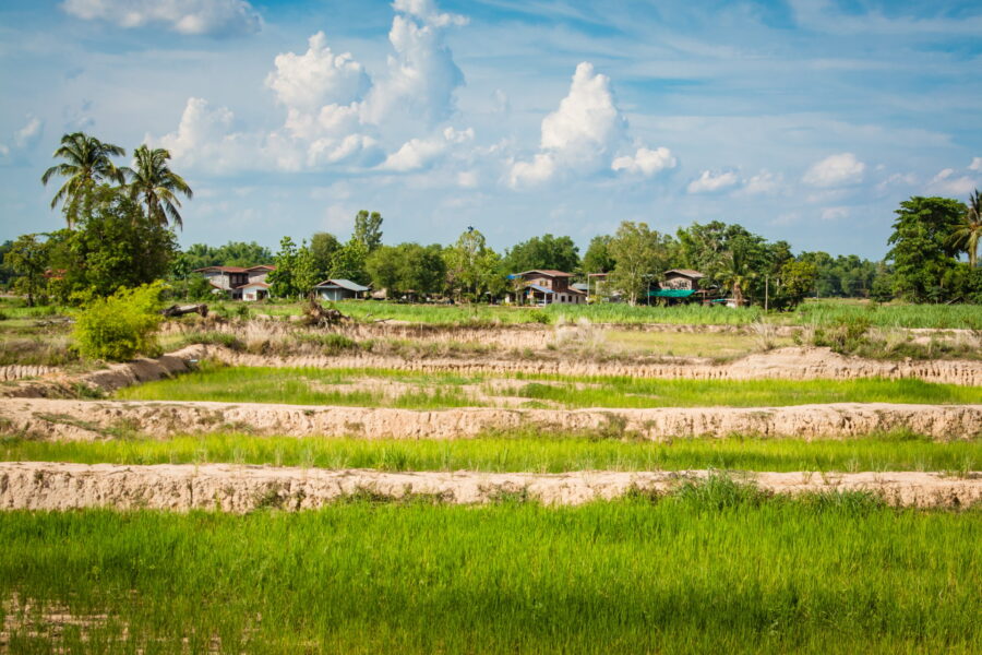 paysage de campagne en isan nord est thailande