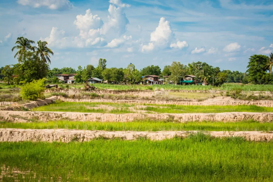 countryside landscape in Isan northeast Thailand