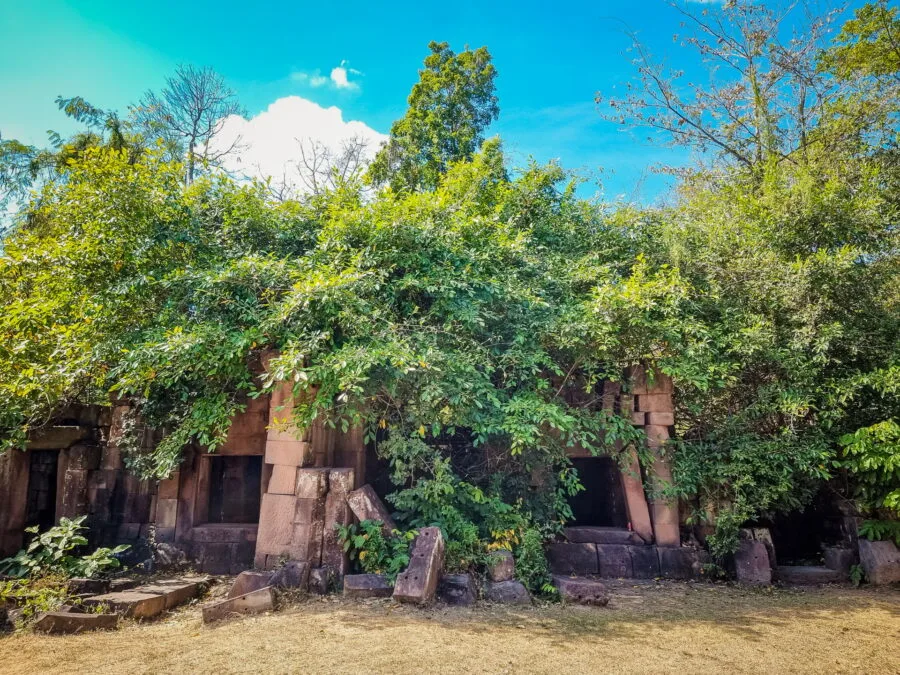 vegetation covering prasat ta muan thom on the thailand-cambodia border