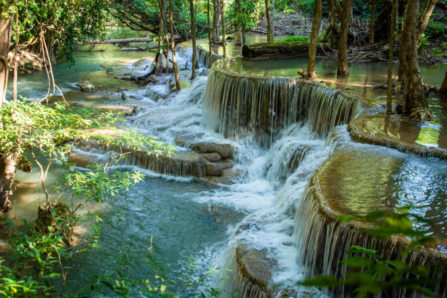 niveau 6 – dong phi suea huay mae khamin kanchanaburi