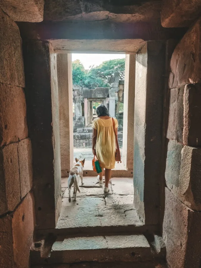 chien amical prasat phnom wan nakhon ratchasima