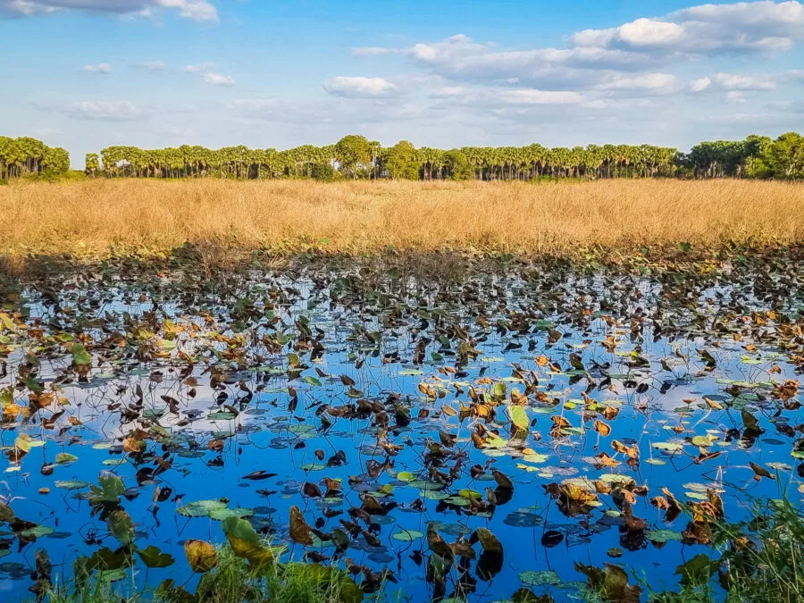 etang proche prasat phnom wan nakhon ratchasima