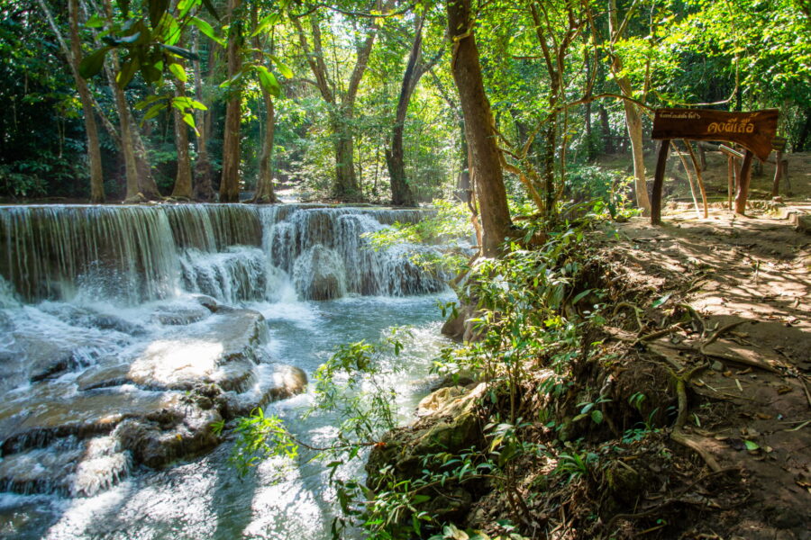 panneau niveau 6 – dong phi suea huay mae khamin kanchanaburi