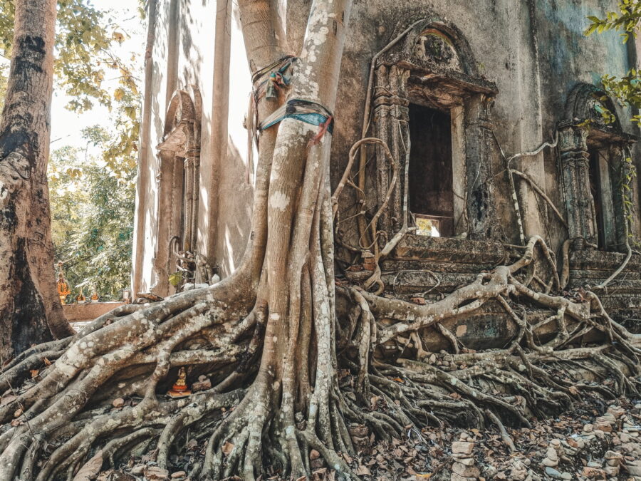 racines ancien wat somdet balade lac sangkhlaburi