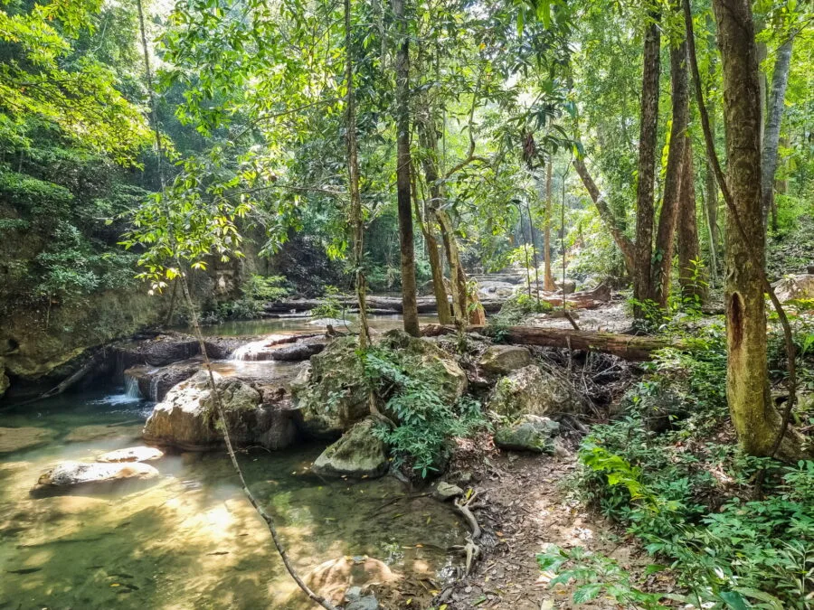 sentier entre niveau 4 et 5 parc erawan kanchanaburi