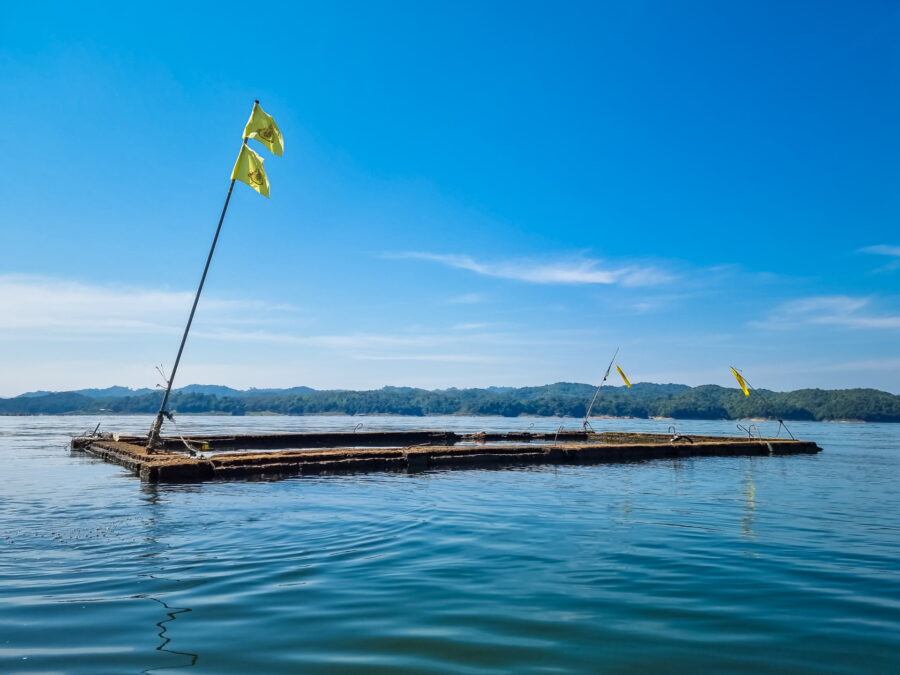 temple immerge wat sri suwan lac sangkhlaburi