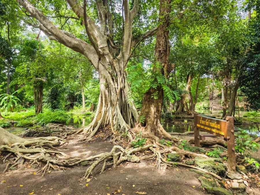 wang kan lueang waterfall waterfall lopburi province