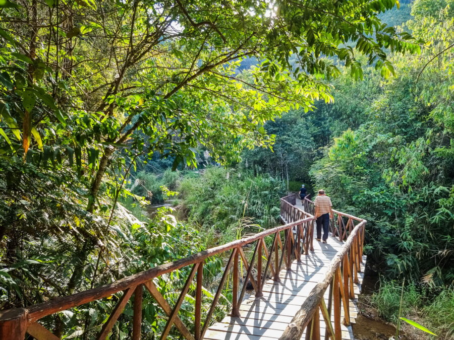 chemin menant a la cascade de chokkradin pilok