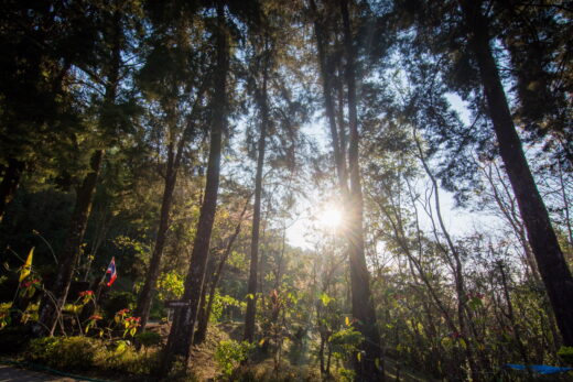 foret parc national chae son province de chiang mai