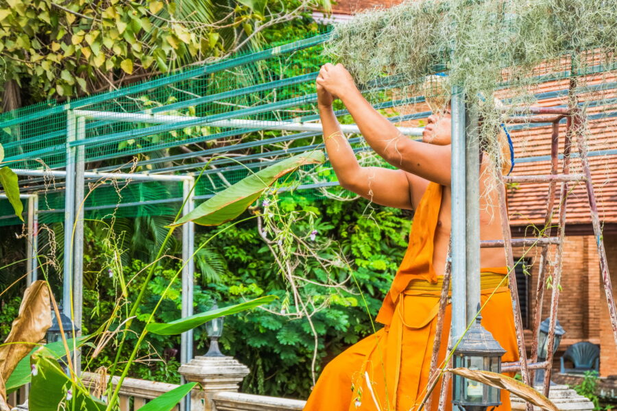 busy monk at wat jetlin old town of chiang mai