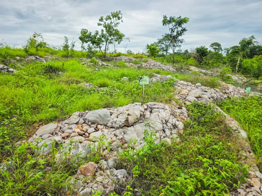 site of phu nam yot province of phetchabun