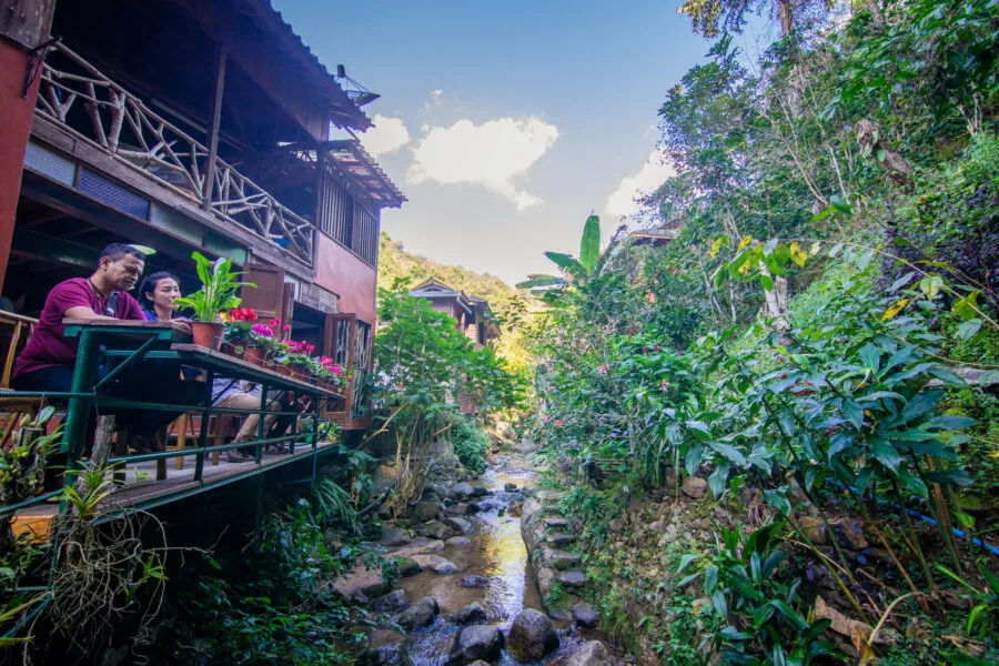terrace lung pud pa peng coffee house village mae kampong chiang mai
