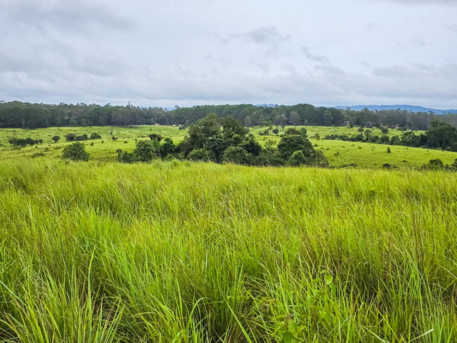view in thung salaeng luang national park phetchabun province