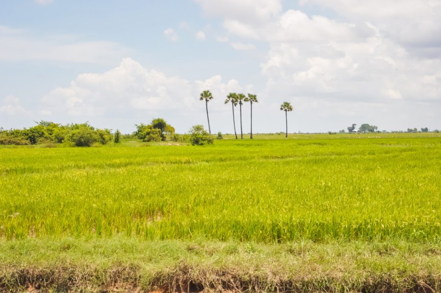 siem reap vers village kampong phluk tonle sap