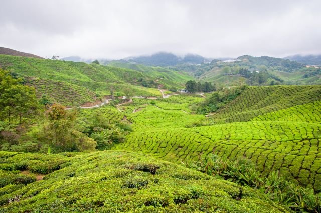 plage langkawi malaisie