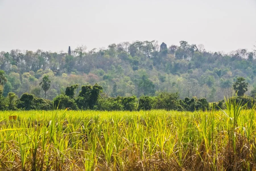 si satchanalai campaign - thailand
