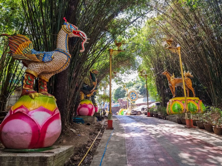 allee ombragée arrivée au temple wat phu thap boek phetchabun