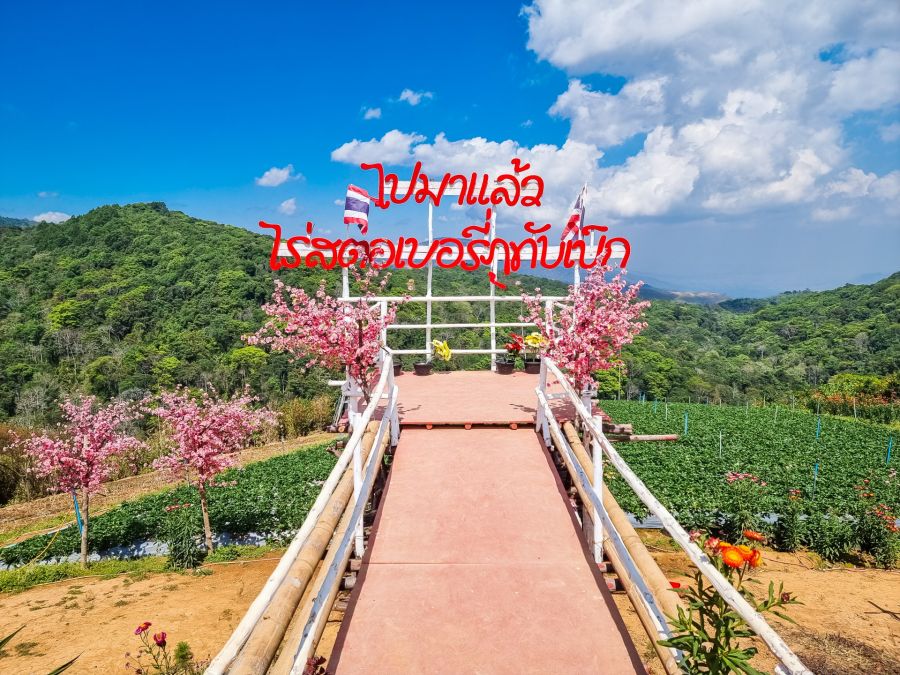amenagement pour photo souvenir phu thap boek phetchabun