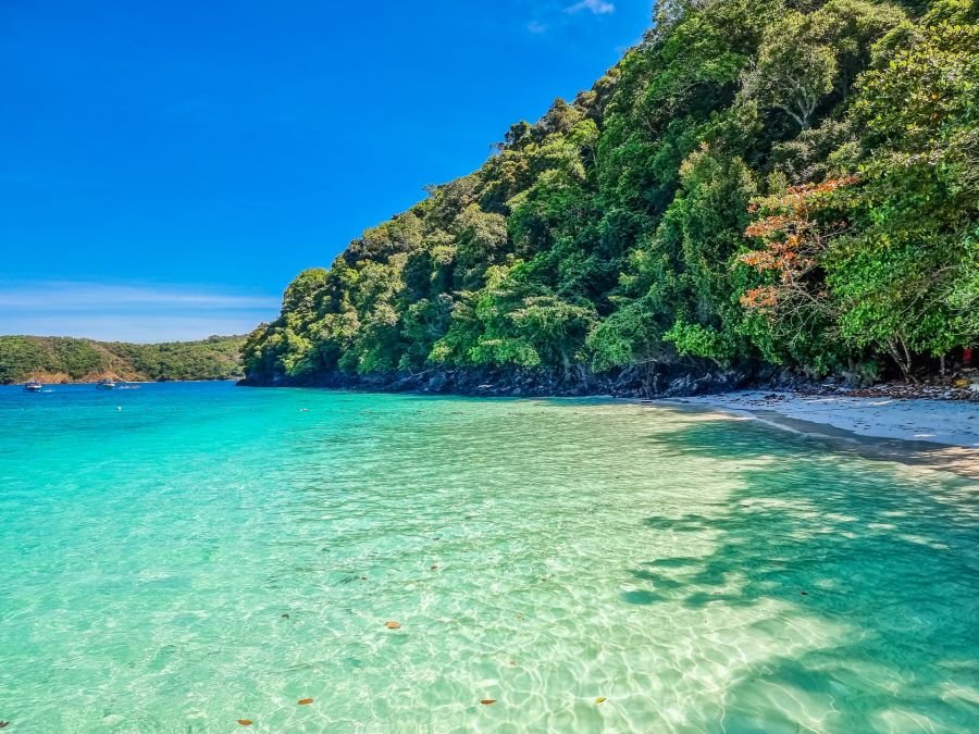 bout de monkey beach excursion journee ko phi phi