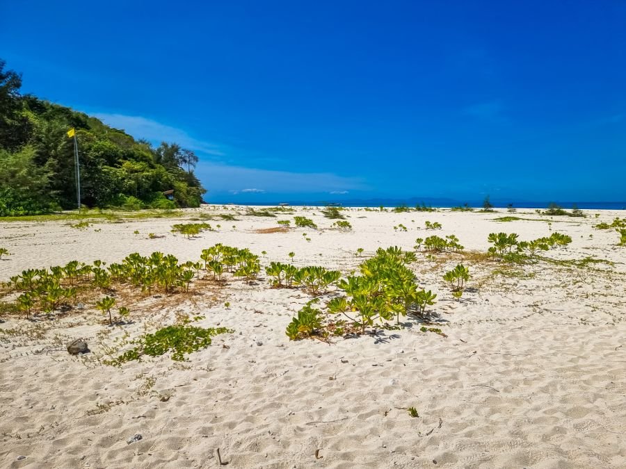 bout plage sur bamboo island excursion journée depuis ko phi phi