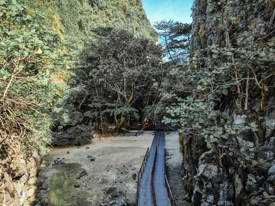 chemin derriere entree maya bay phi phi ley