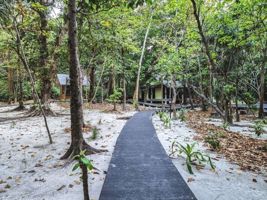 chemin menant a maya bay sur phi phi ley