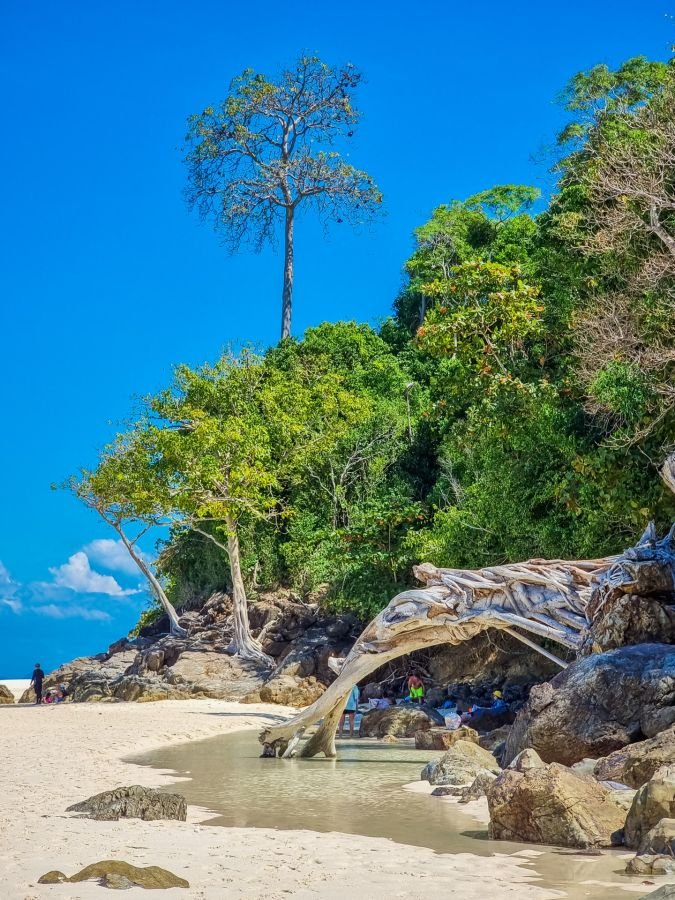 foret bord plage bamboo island excursion journée depuis ko phi phi