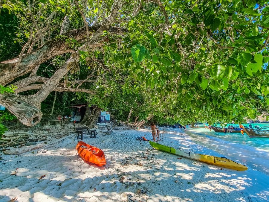 monkey beach excursion journee ko phi phi