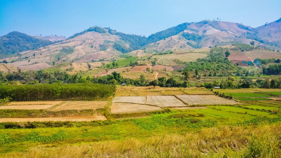 paysage route vers phu thap boek depuis loei