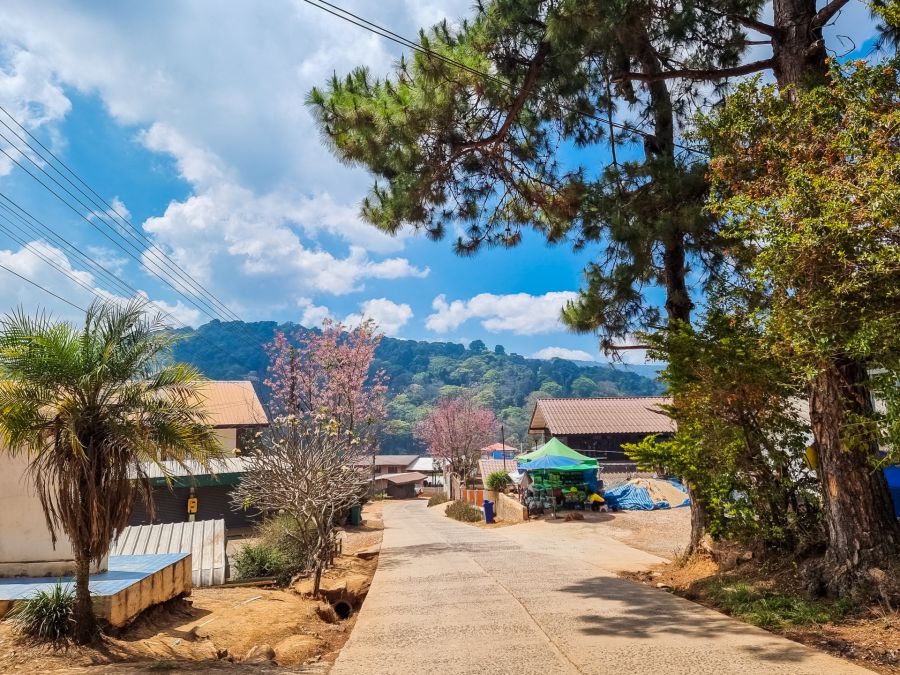route du temple au village de phu thap boek phetchabun