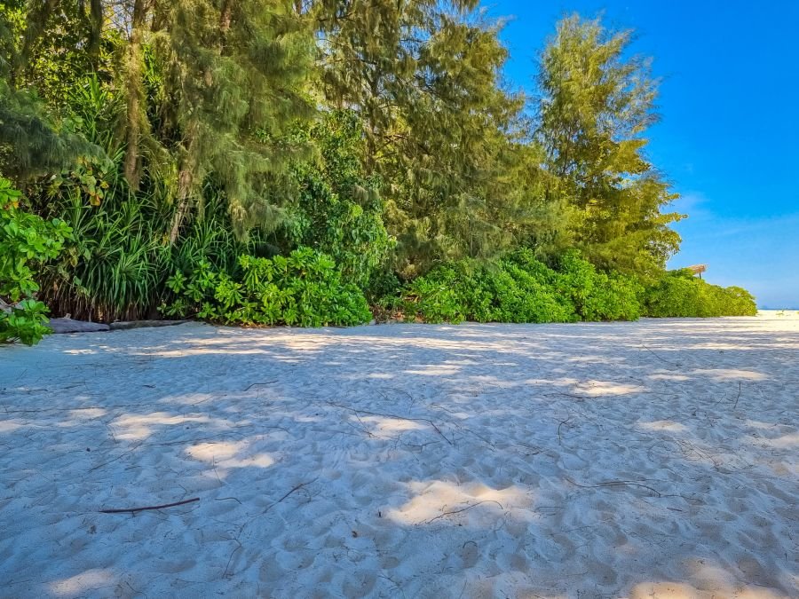 spot ombre plage bamboo island excursion journée depuis ko phi phi