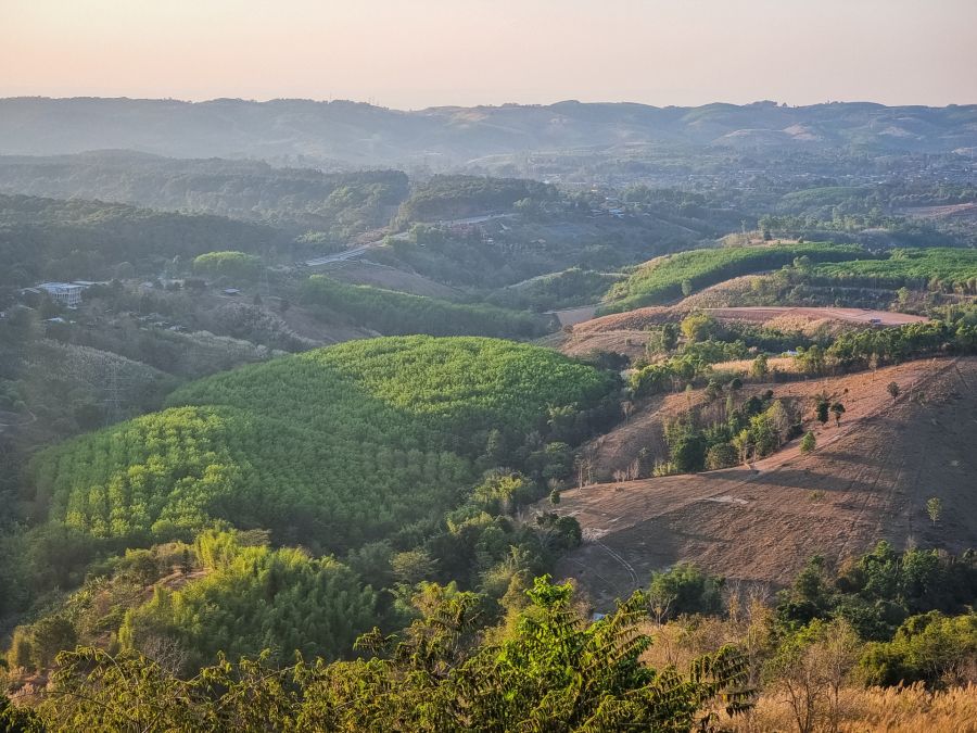 vue depuis liangshan coffee khaokho province de phetchabun