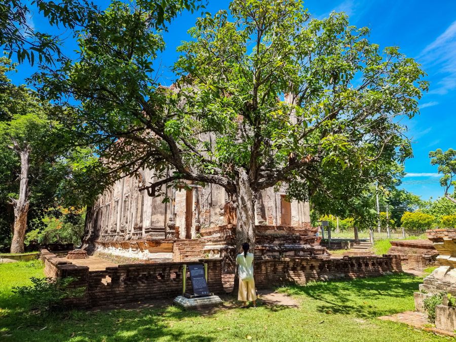 wat boromphuttharam parc historique ayutthaya
