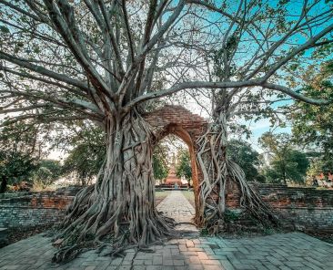 wat phra ngam portal of time ayutthaya