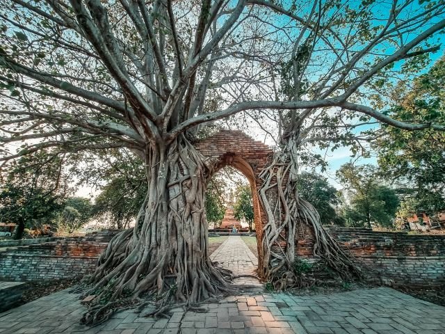 wat phra ngam portal of time ayutthaya