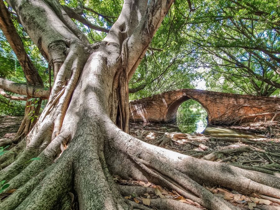 dinso bridge parc historique ayutthaya