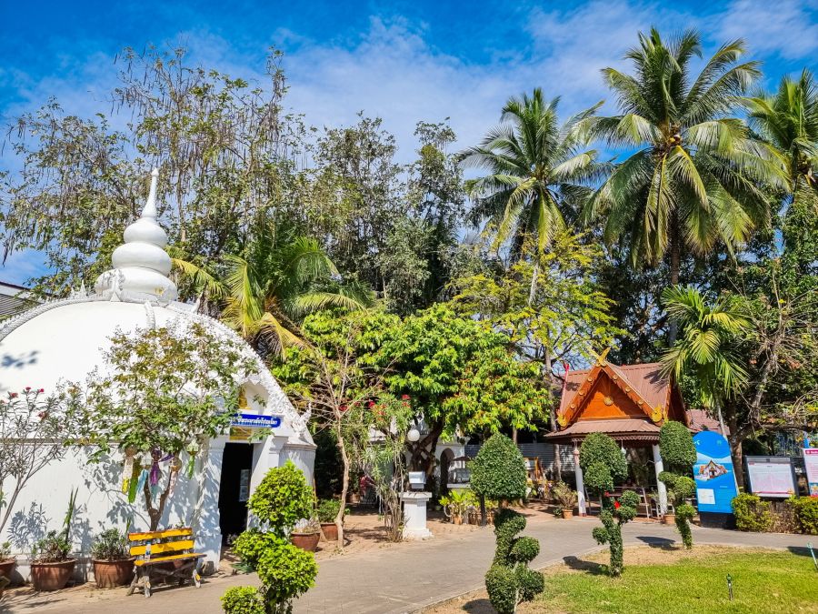 jardin au wat phumin nan thailande
