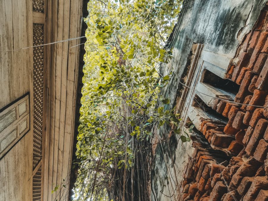 banian dans ruelle jouxtant mosquee avant renovation song wat bangkok